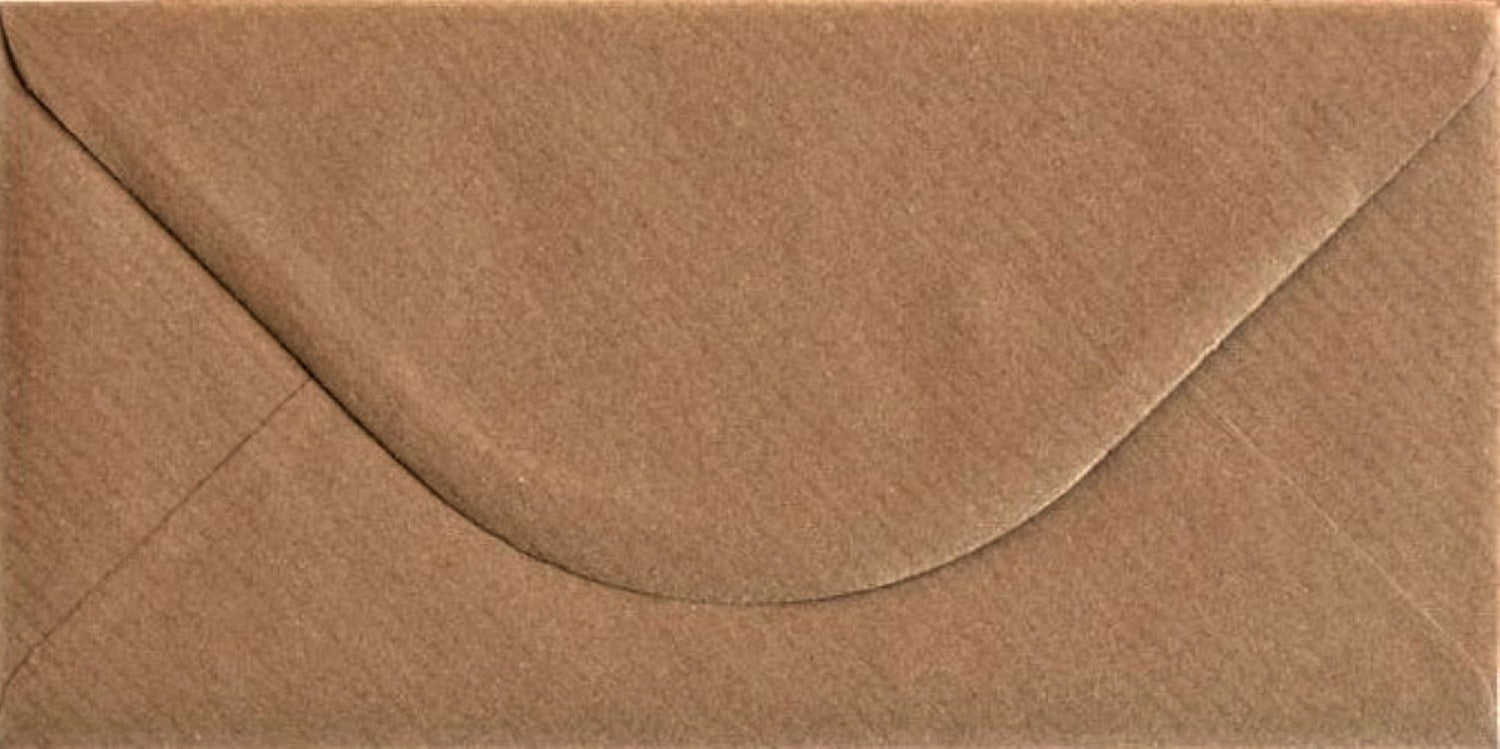 DL Envelopes - 110mm x 220mm